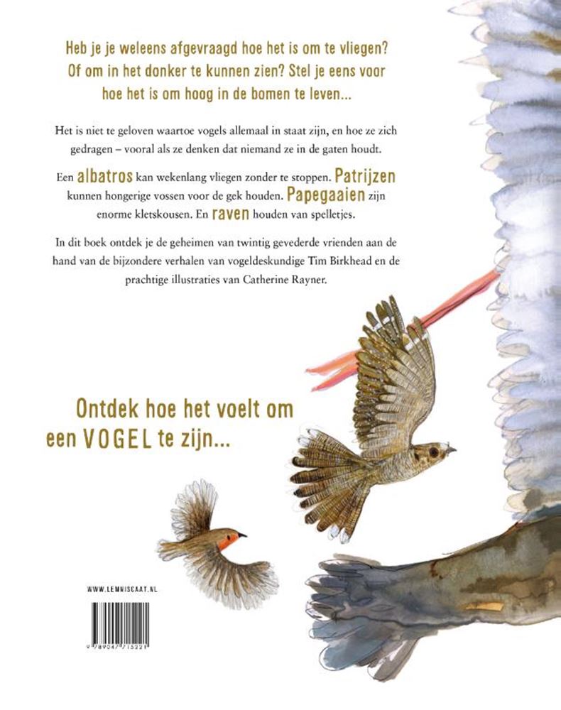 So fühlt es sich an, ein Vogel 9+ zu sein