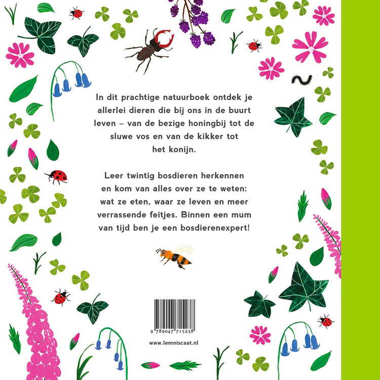 Mein erstes Waldtierbuch 4+
