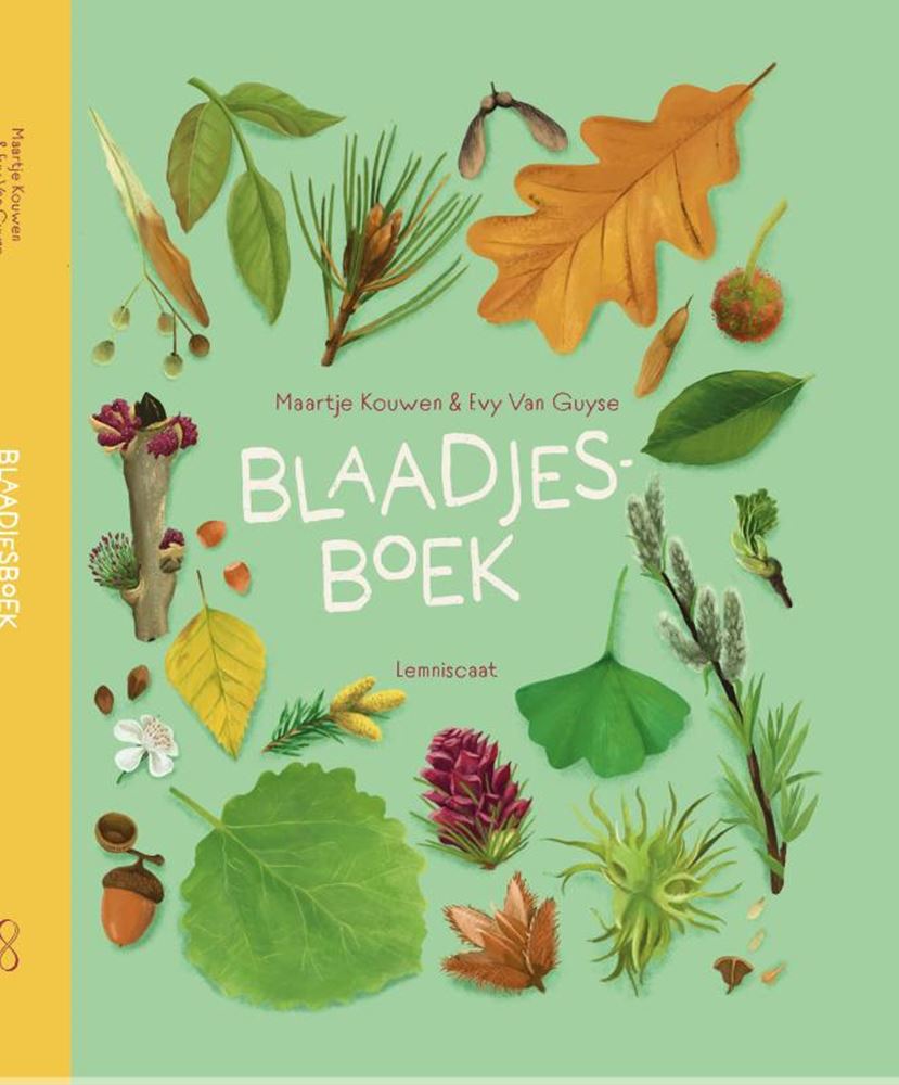 Das Blattbuch. 7+