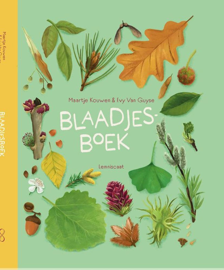 Das Blattbuch. 7+