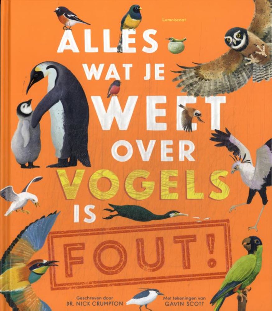 Alles, was Sie über Vögel wissen, ist falsch!