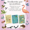 Pappbuch: Robins Vogelbuch.