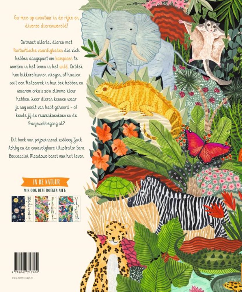 Informativ: Wild 7+