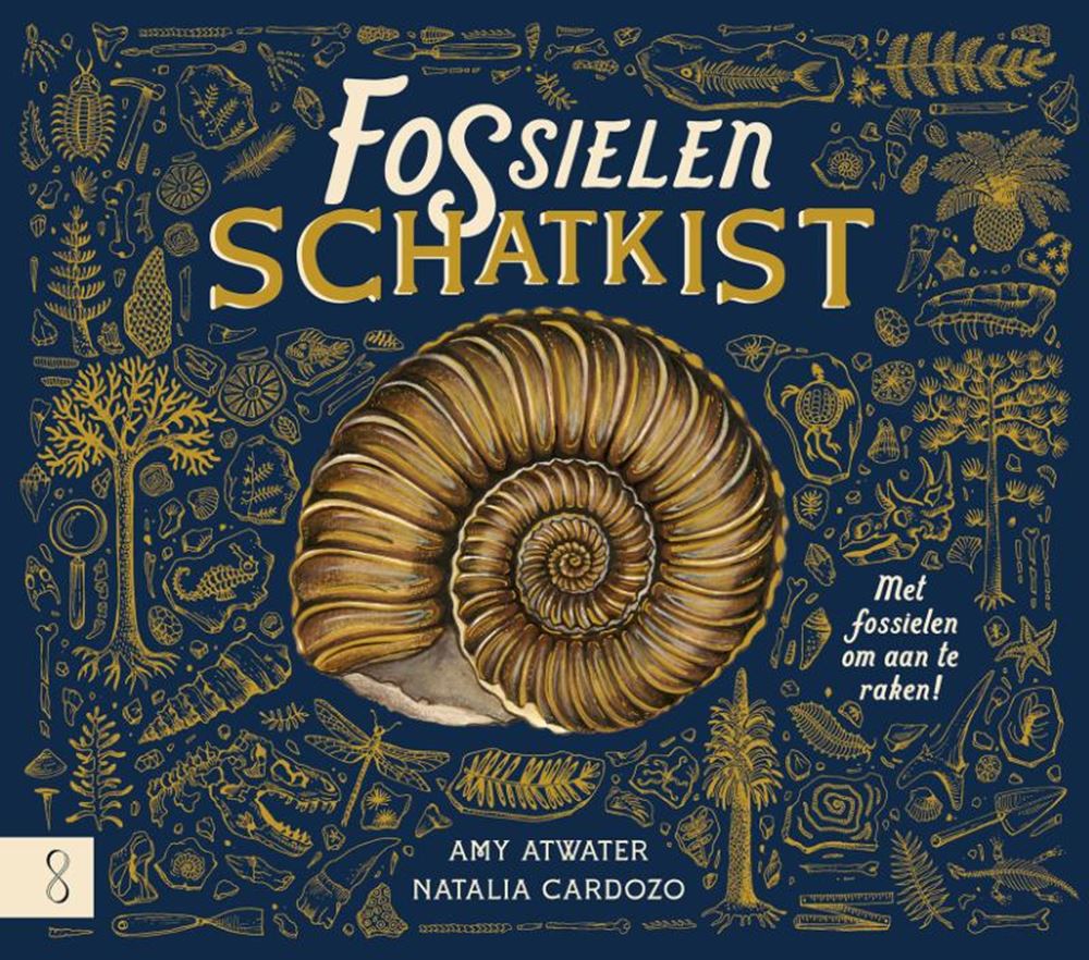 Informativ: Die Fossilienschatzkiste 7+