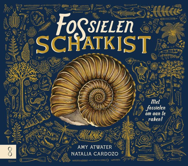 Informativ: Die Fossilienschatzkiste 7+