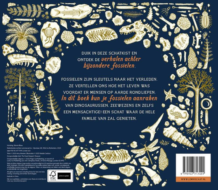 Informativ: Die Fossilienschatzkiste 7+