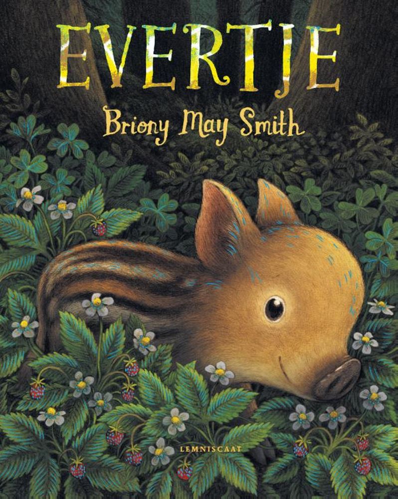 Bilderbuch: evertje 4+