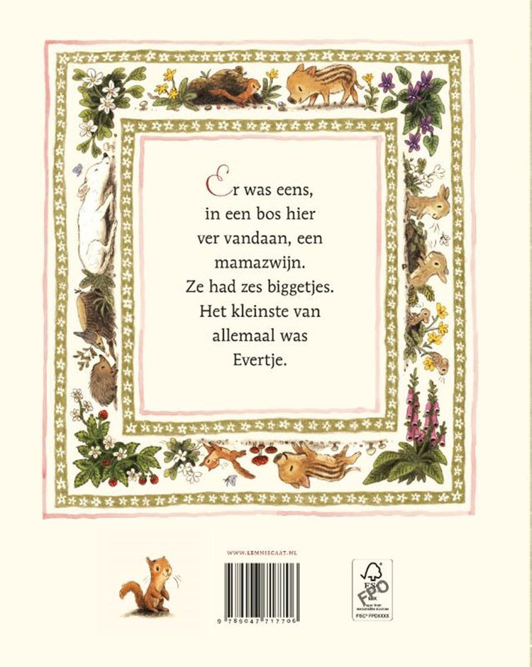Bilderbuch: evertje 4+