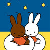 Miffy-Aktivitätsbuch (Sterne). 2+