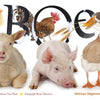 Look-and-Feel-Buch: boo! 1+