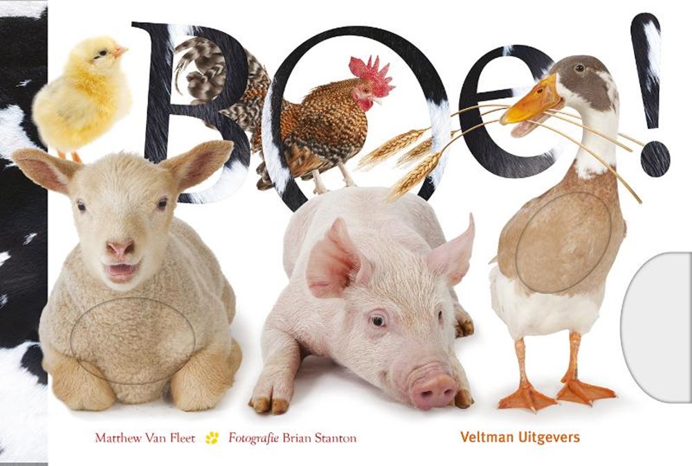 Look-and-Feel-Buch: boo! 1+