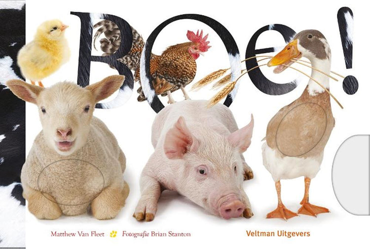 Look-and-Feel-Buch: boo! 1+