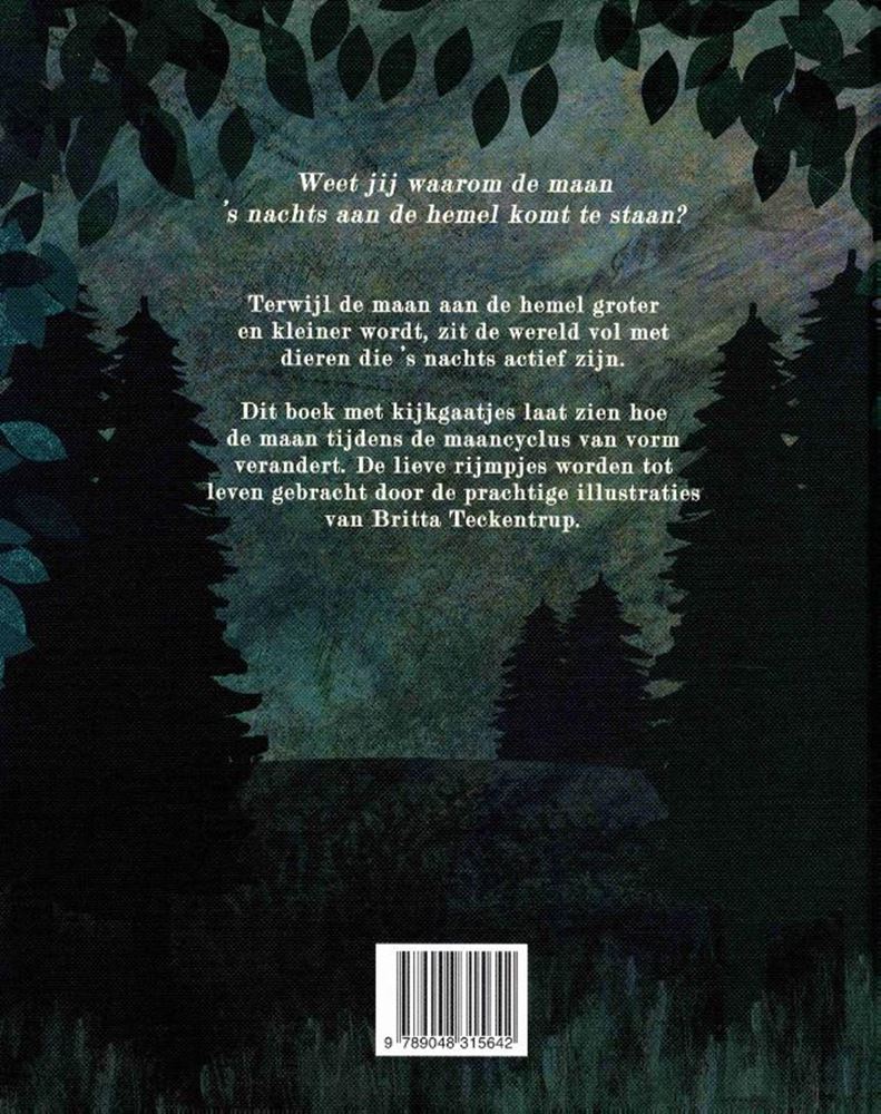 Bilderbuch: Im Mondschein. 2+