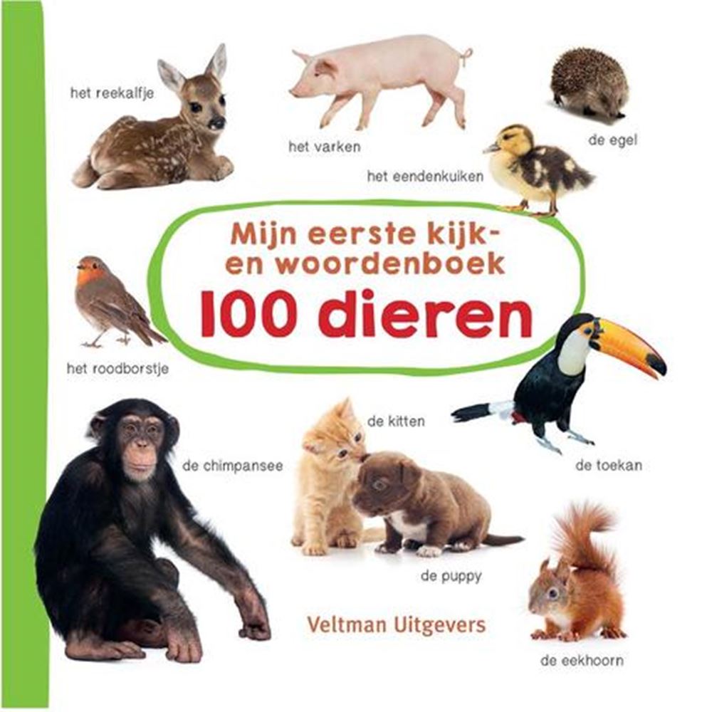 Mein erstes Tierwörterbuch! 1+