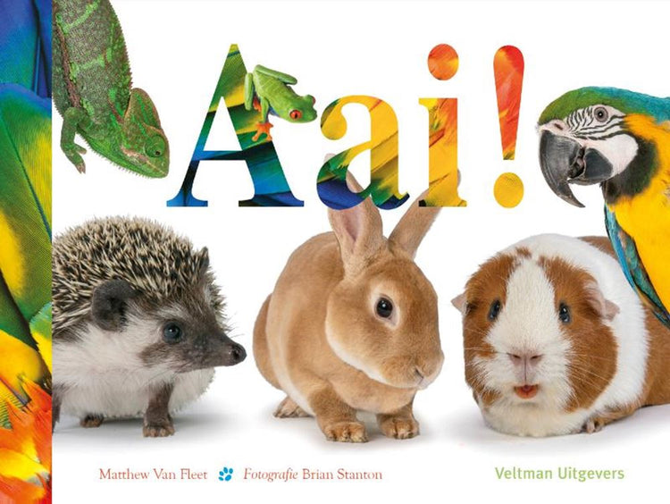 Touch-Buch: Pat! 1+