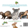 Touch-Buch: Pat! 1+