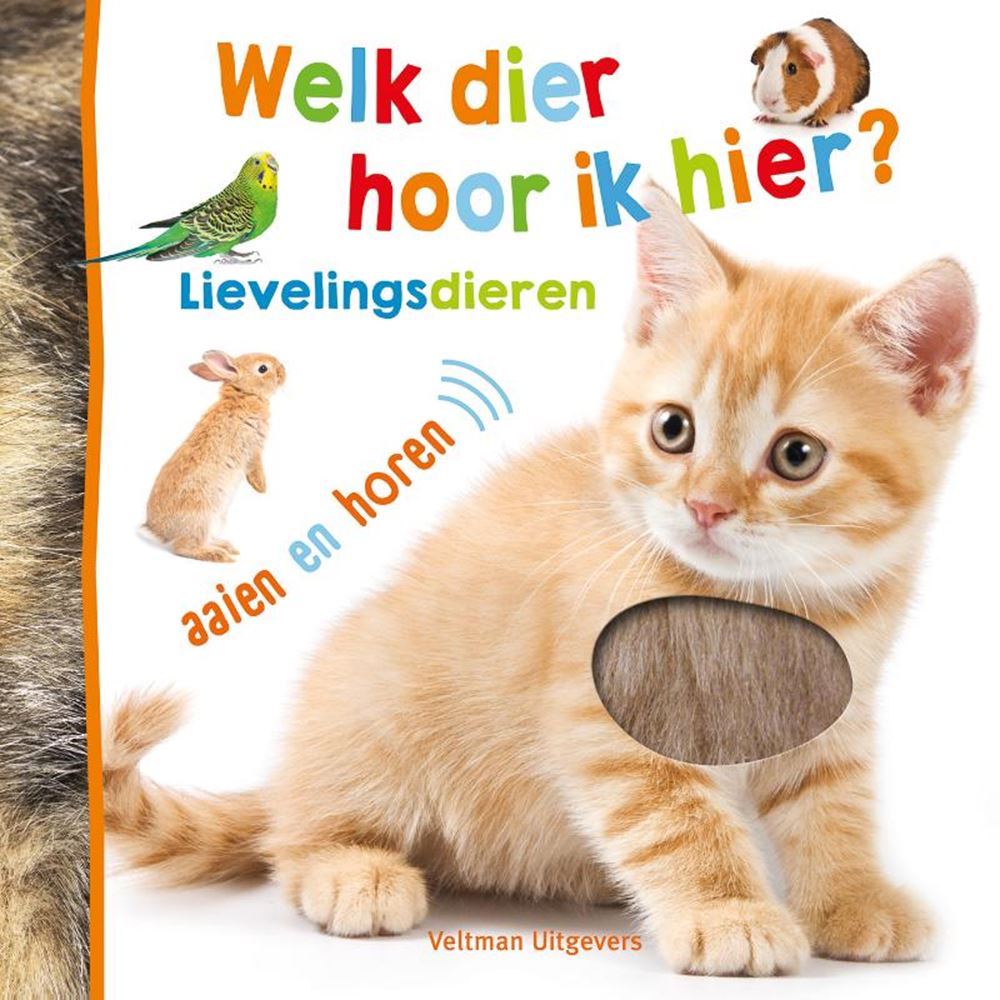 Welches Tier höre ich hier? Lieblingstiere