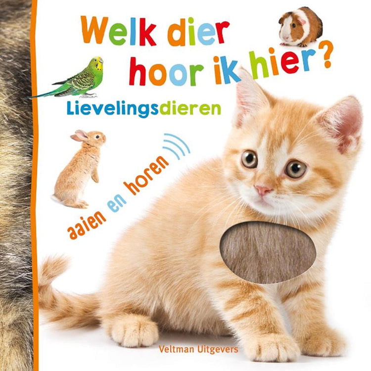 Welches Tier höre ich hier? Lieblingstiere