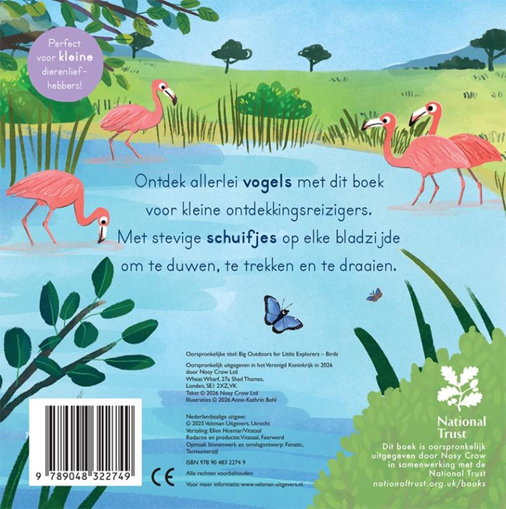 Vögel – für kleine Entdecker