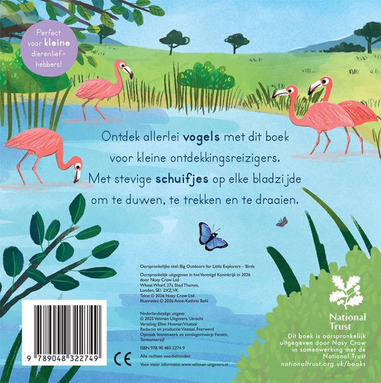 Vögel – für kleine Entdecker