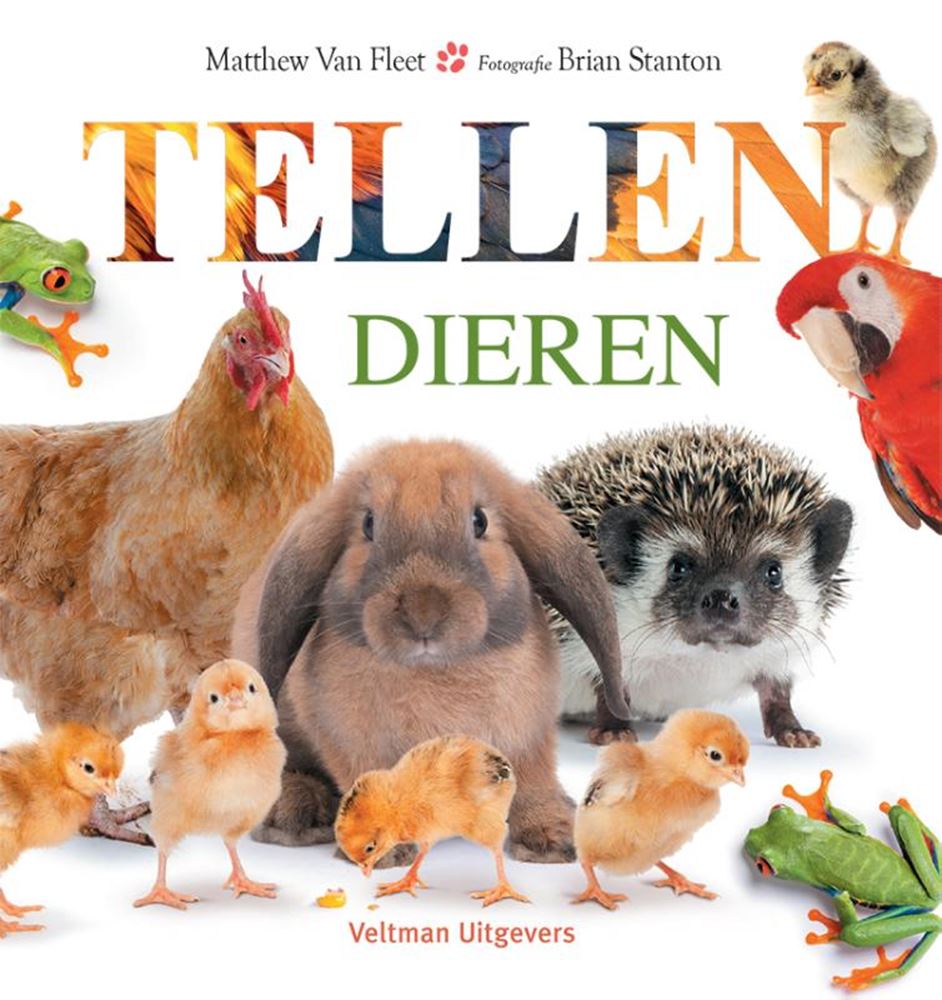 Zählbrettbuch - Tiere 1+