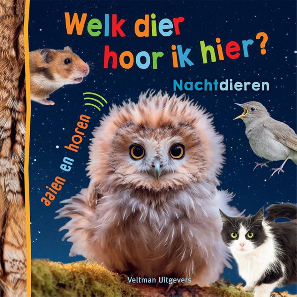 Welches Tier höre ich hier? - nachtaktive Tiere 1+