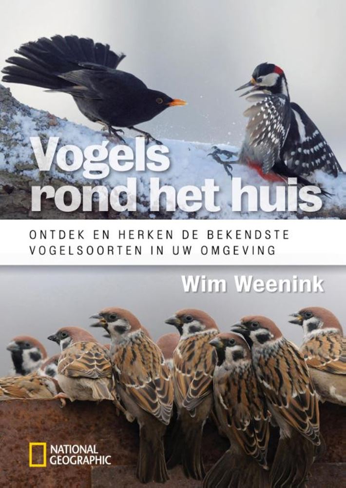 Vögel rund ums Haus