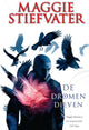 Der Rabe Serie 2: Die Traumdiebe. 13+