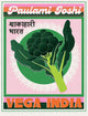 Vega Indien Erwachsener