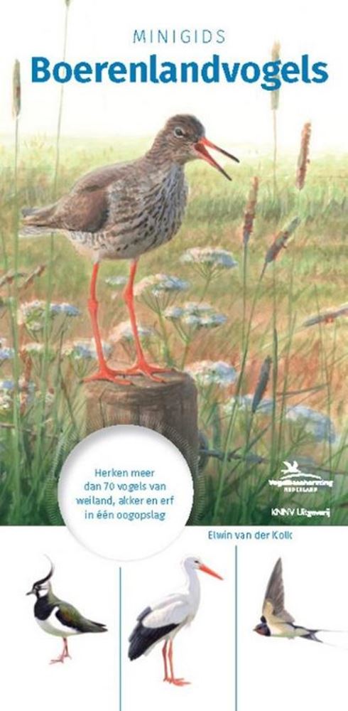 Mini-Führer zu Ackerlandvögeln