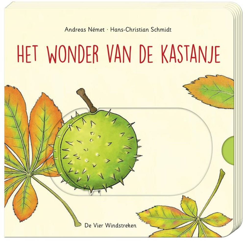 Das Wunder der Kastanie (Brettbuch)