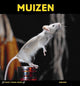 Pfote für Pfote: Mäuse. 8+