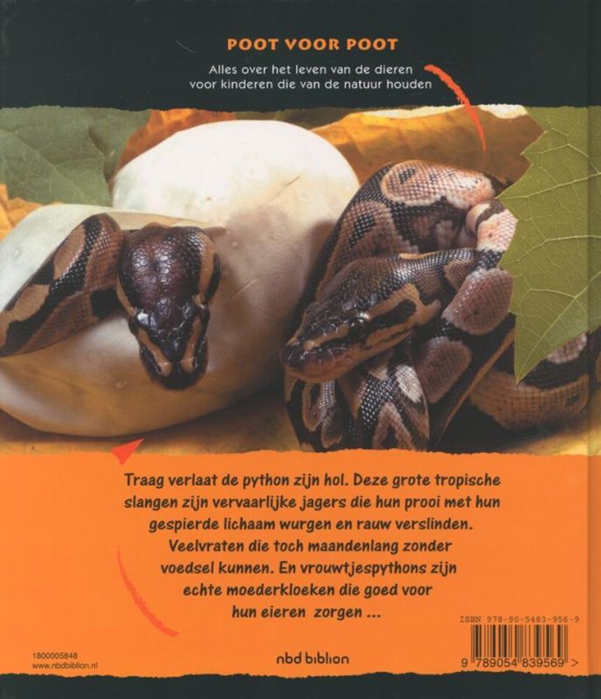 Pfote für Pfote: Pythons. 8+