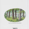 Bodo-Liederbuch mit CD. 6+