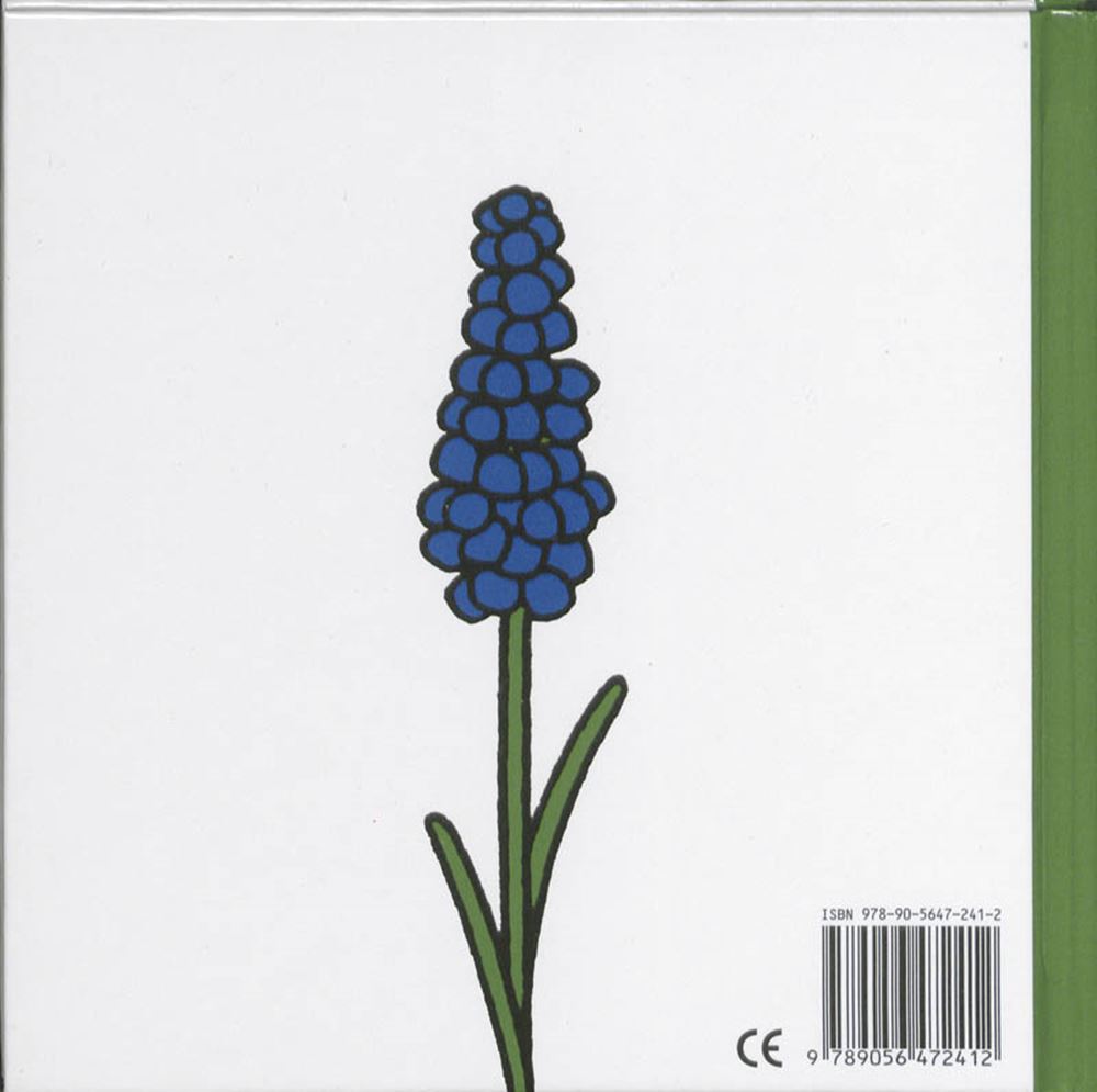 Blumenbuch. 2+