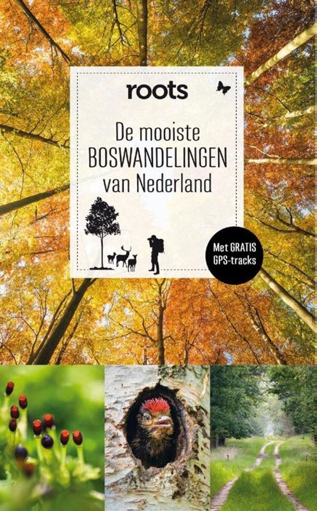 Die schönsten Waldwanderungen in den Niederlanden