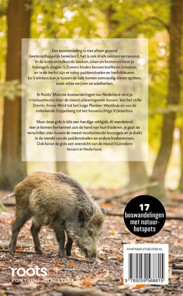 Die schönsten Waldwanderungen in den Niederlanden