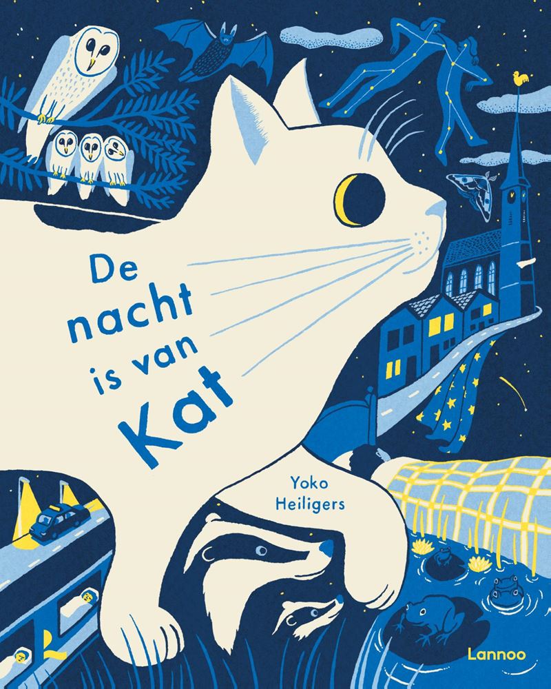 Bilderbuch: Die Nacht gehört Katze 5+