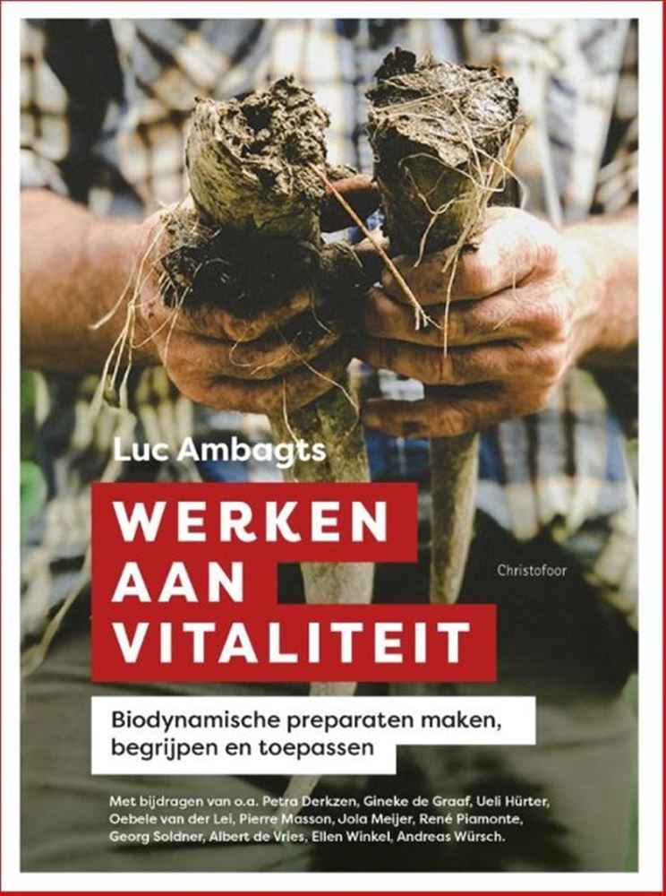 An der Vitalität arbeiten