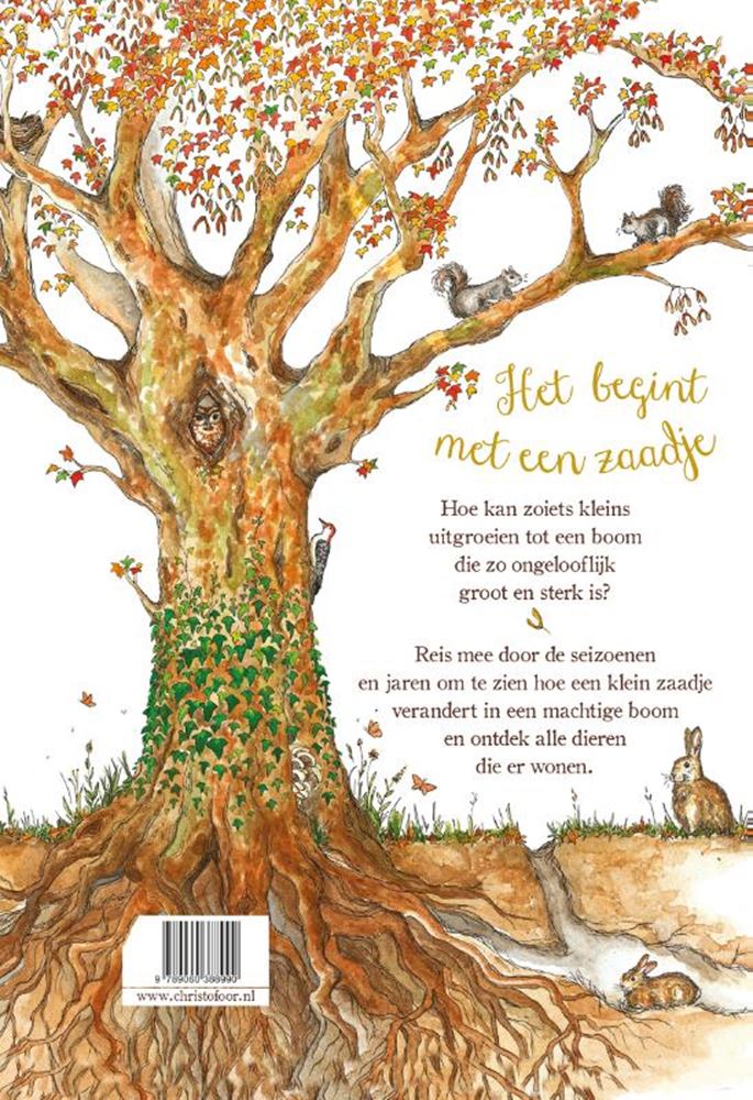 Es beginnt mit einem Samen. 3+