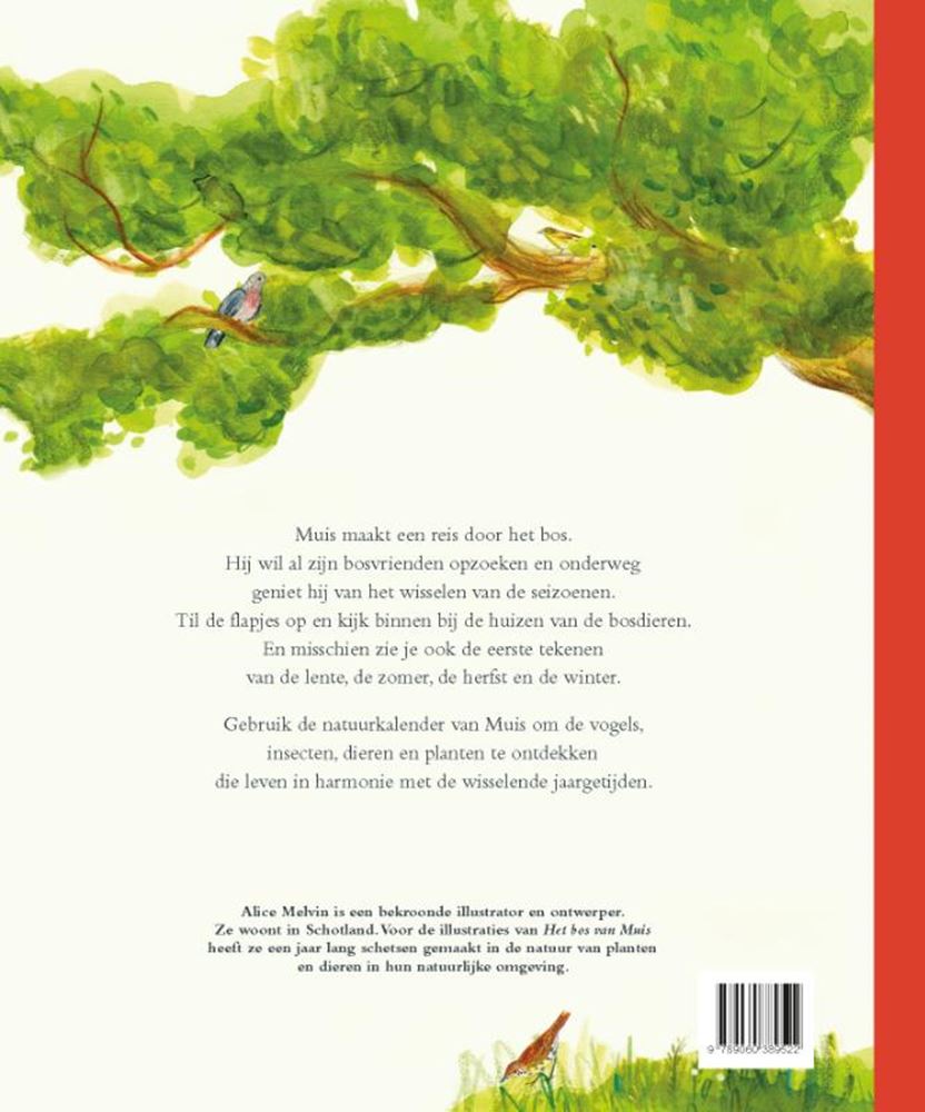 Der Wald der Maus. 3+ Bilderbuch Top 10