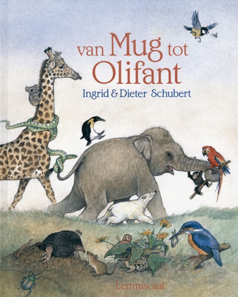 Von der Mücke bis zum Elefanten