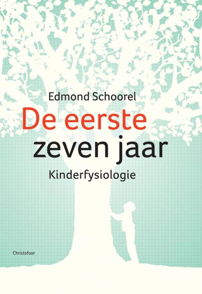Die ersten sieben Jahre (Kinderphysiologie)