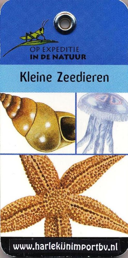 Expeditionsbuch: kleines Meerestier (6 Stück)