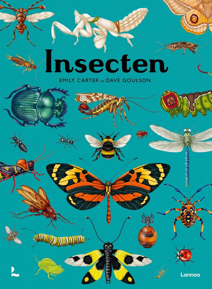 Insekten. 9+