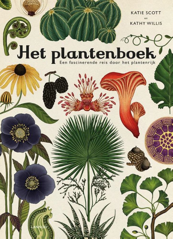 Das Pflanzenbuch. 8+