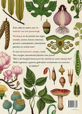 Das Pflanzenbuch. 8+ - afbeelding 2