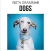 Instagrammar: Hunde
