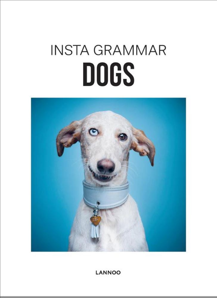 Instagrammar: Hunde