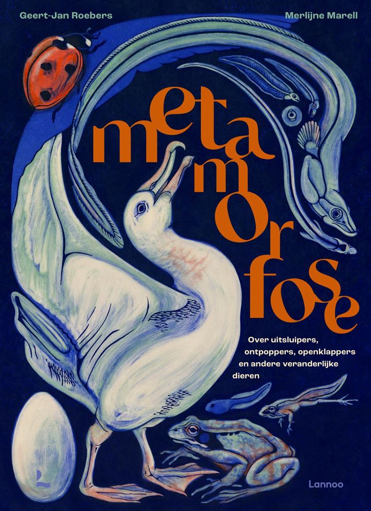 Metamorphose. 8+